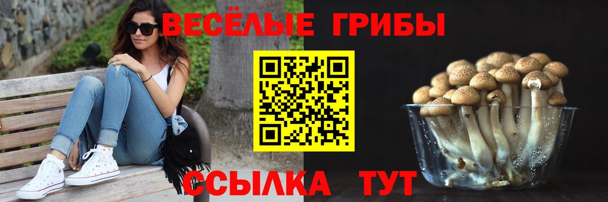 Галлюциногенные грибы GOLDEN TEACHER Тулун
